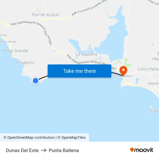 Dunas Del Este to Punta Ballena map