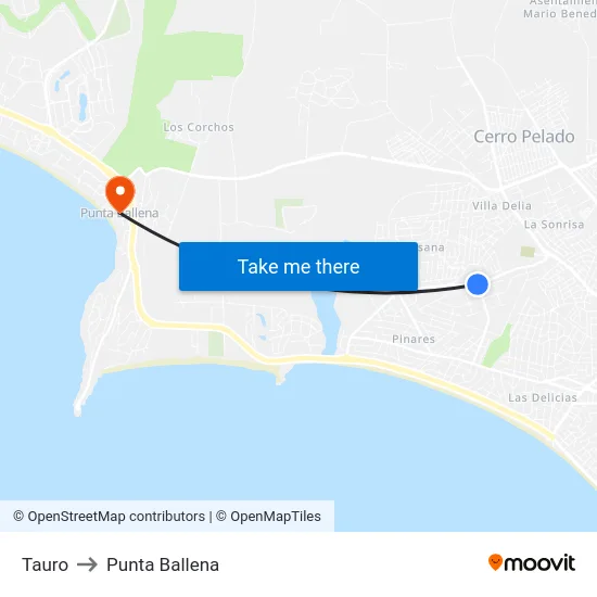 Tauro to Punta Ballena map