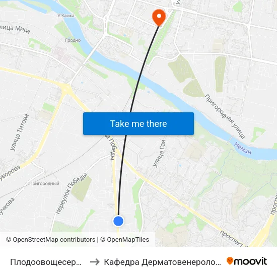 Плодоовощесервис to Кафедра Дерматовенерологии map