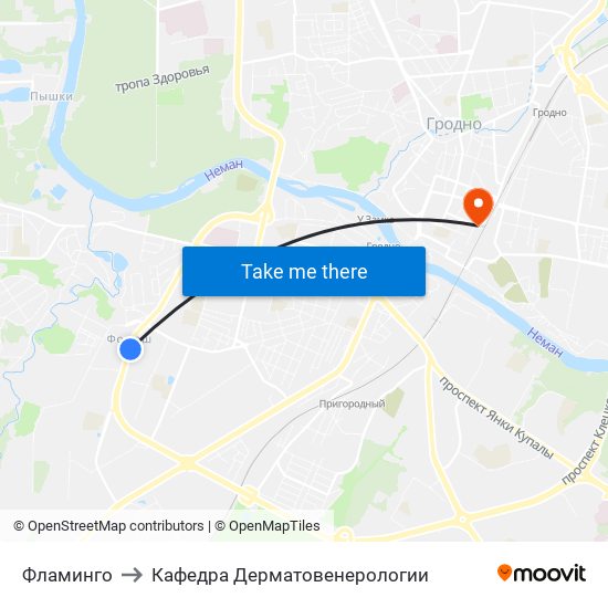 Фламинго to Кафедра Дерматовенерологии map