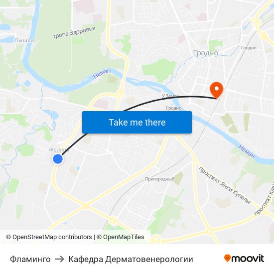 Фламинго to Кафедра Дерматовенерологии map