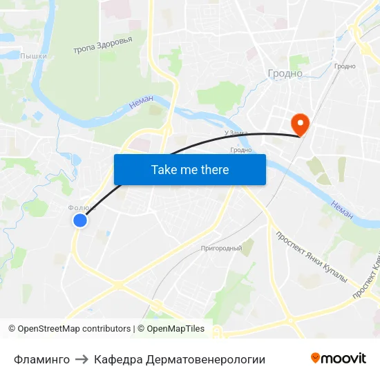 Фламинго to Кафедра Дерматовенерологии map