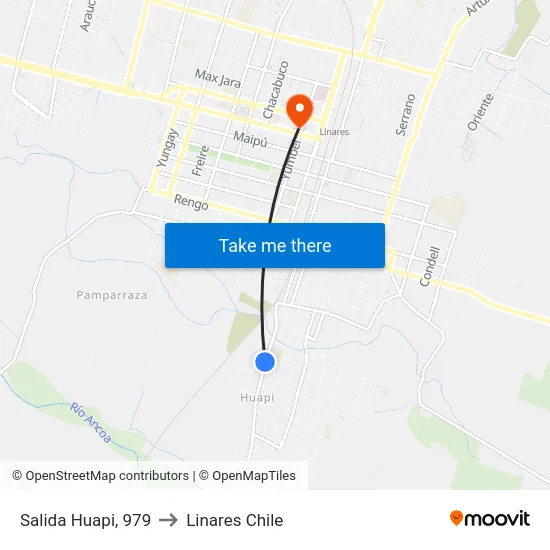 Salida Huapi, 979 to Linares Chile map