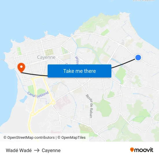 Wadé Wadé to Cayenne map