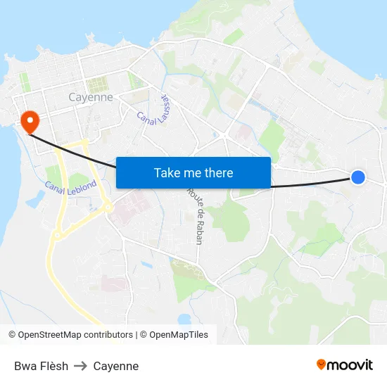 Bwa Flèsh to Cayenne map