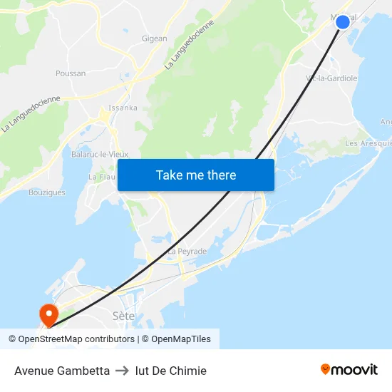 Avenue Gambetta to Iut De Chimie map