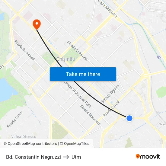 Bd. Constantin Negruzzi to Utm map