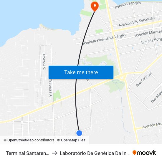 Terminal Santarenzinho to Laboratório De Genética Da Interação map