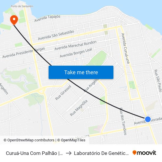 Curuá-Una Com Palhão | Sentido Norte to Laboratório De Genética Da Interação map