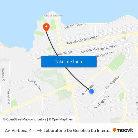 Av. Verbena, 498 to Laboratório De Genética Da Interação map