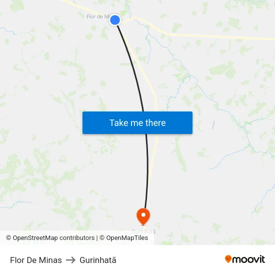 Flor De Minas to Gurinhatã map