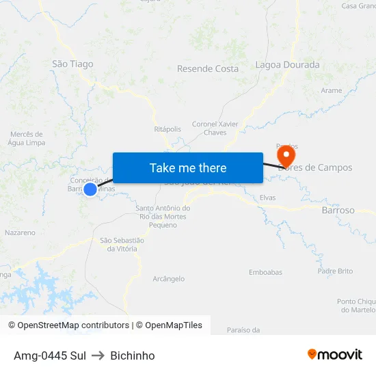 Amg-0445 Sul to Bichinho map
