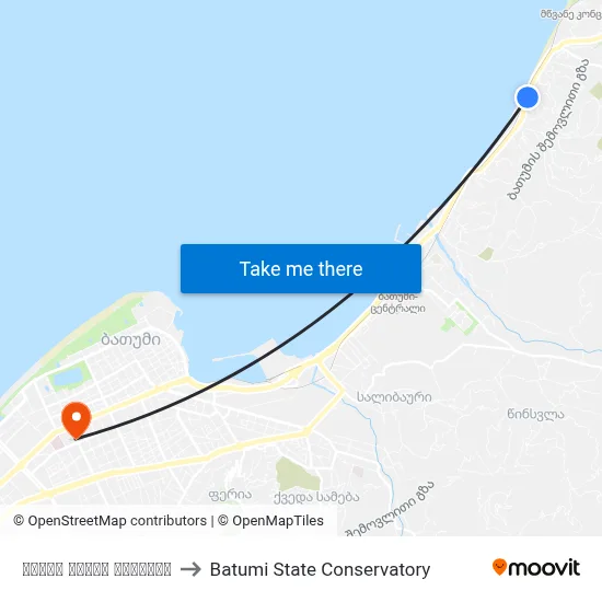 თამარ მეფის გამზირი to Batumi State Conservatory map