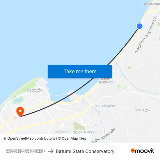 Tamar Mepe Avenue to Batumi State Conservatory map