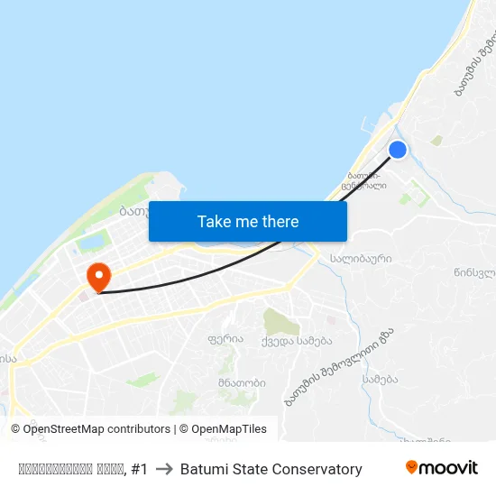 გრიშაშვილის ქუჩა, #1 to Batumi State Conservatory map
