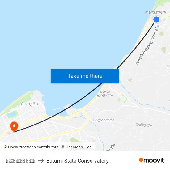 Tbilisi Street to Batumi State Conservatory map