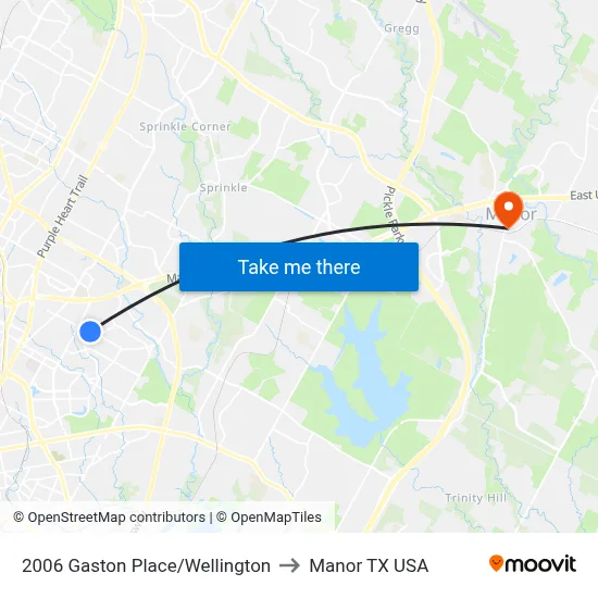 2006 Gaston Place/Wellington to Manor TX USA map