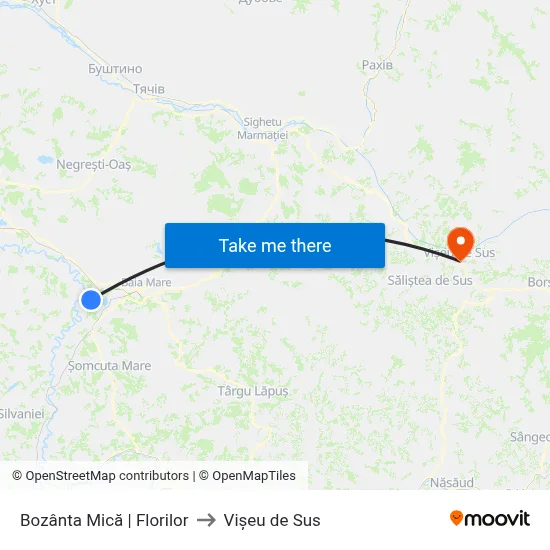 Bozânta Mică | Florilor to Vișeu de Sus map