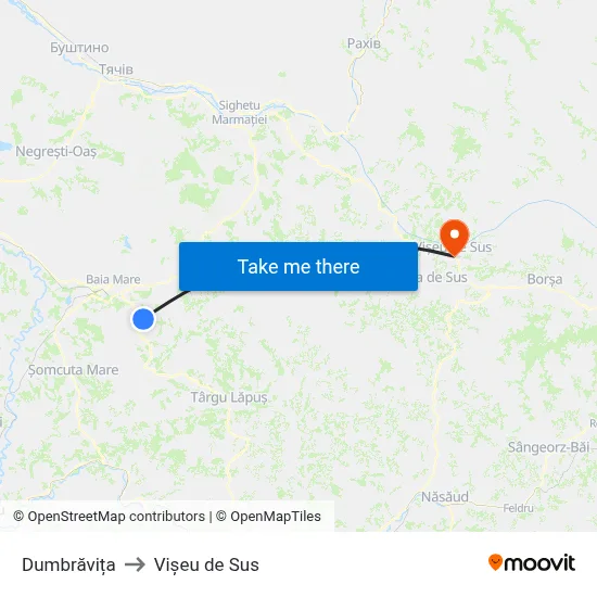 Dumbrăvița to Vișeu de Sus map