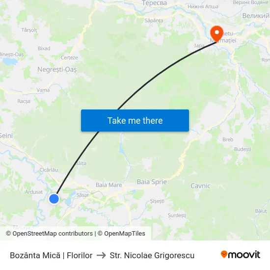 Bozânta Mică | Florilor to Str. Nicolae Grigorescu map
