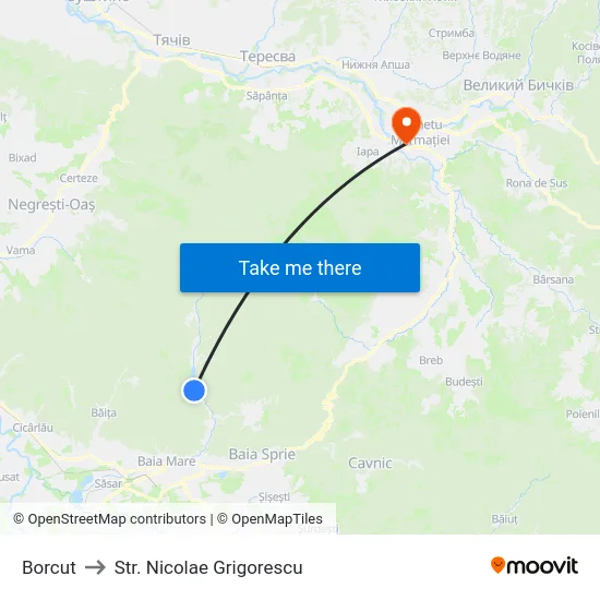 Borcut to Str. Nicolae Grigorescu map