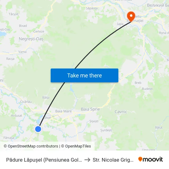 Pădure Lăpușel (Pensiunea Golden Star) to Str. Nicolae Grigorescu map