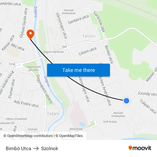 Bimbó Utca to Szolnok map