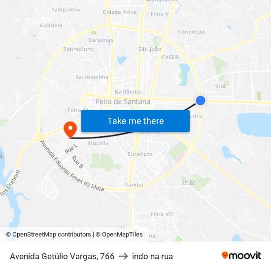 Avenida Getúlio Vargas, 766 to indo na rua map