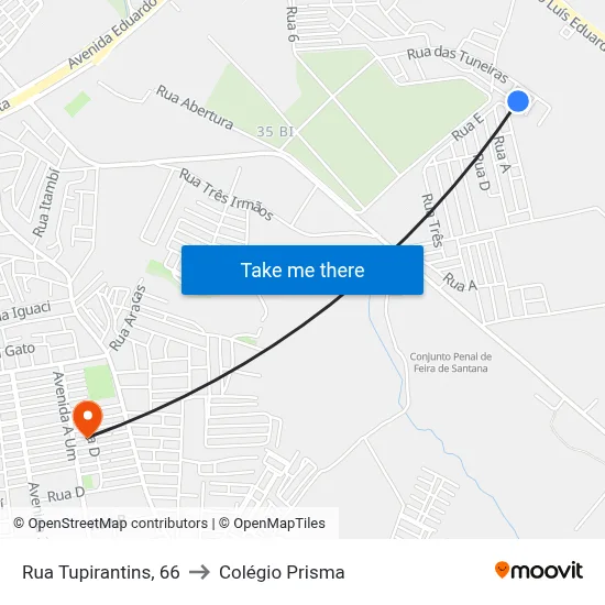 Rua Tupirantins, 66 to Colégio Prisma map
