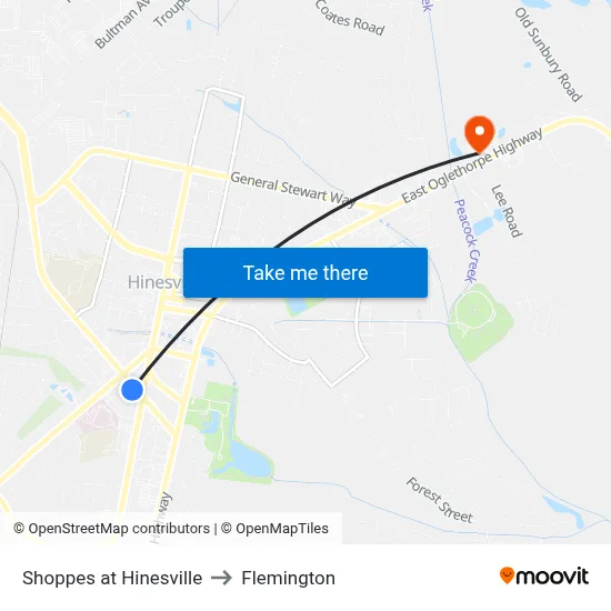 Shoppes at Hinesville to Flemington map