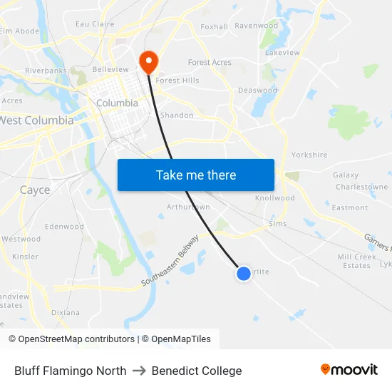 Bluff Flamingo North to Benedict College map