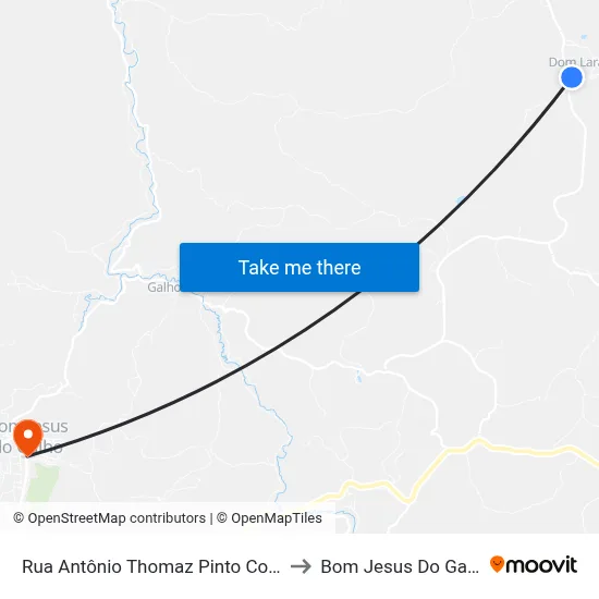 Rua Antônio Thomaz Pinto Corrêa to Bom Jesus Do Galho map