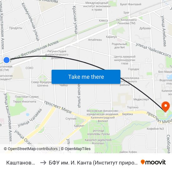 Каштановая Аллея (Из Центра) to БФУ им. И. Канта (Институт природопользования, терр. развития и градостроительства) map