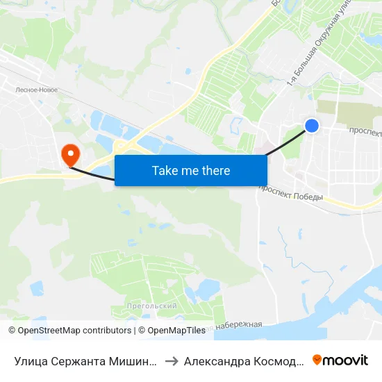 Улица Сержанта Мишина (Из Центра) to Александра Космодемьянского map