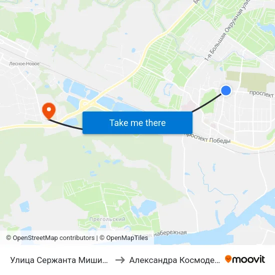 Улица Сержанта Мишина (В Центр) to Александра Космодемьянского map