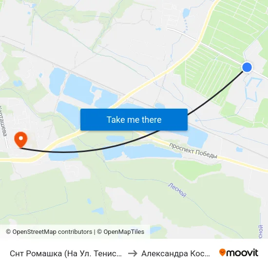 Снт Ромашка (На Ул. Тенистая Аллея, Из Центра) to Александра Космодемьянского map