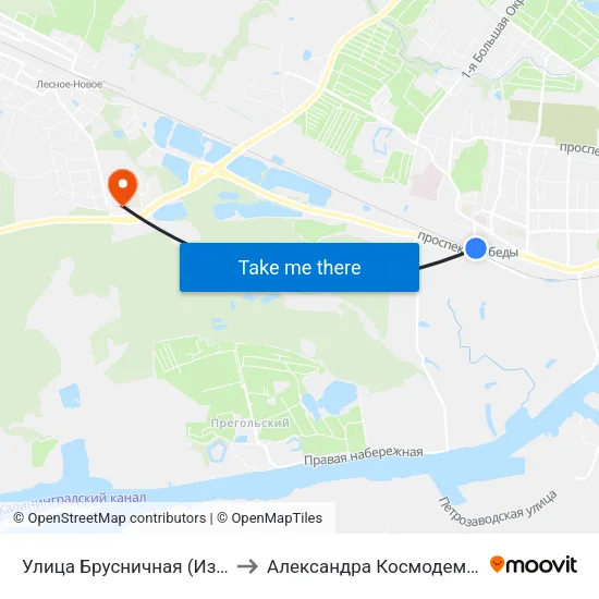 Улица Брусничная (Из Центра) to Александра Космодемьянского map