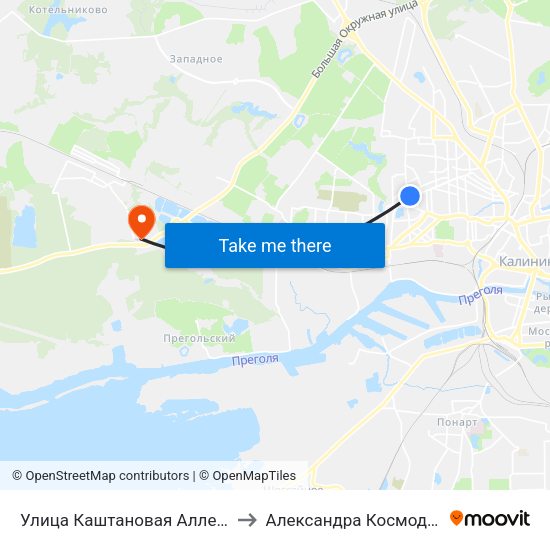Улица Каштановая Аллея (Из Центра) to Александра Космодемьянского map