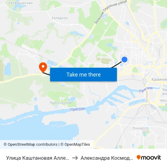 Улица Каштановая Аллея (Из Центра) to Александра Космодемьянского map