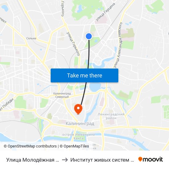 Улица Молодёжная (Из Центра) to Институт живых систем БФУ им. Канта map