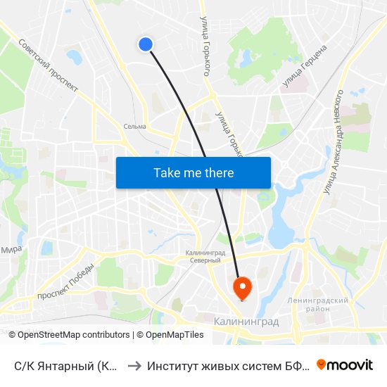 С/К Янтарный (Конечная) to Институт живых систем БФУ им. Канта map