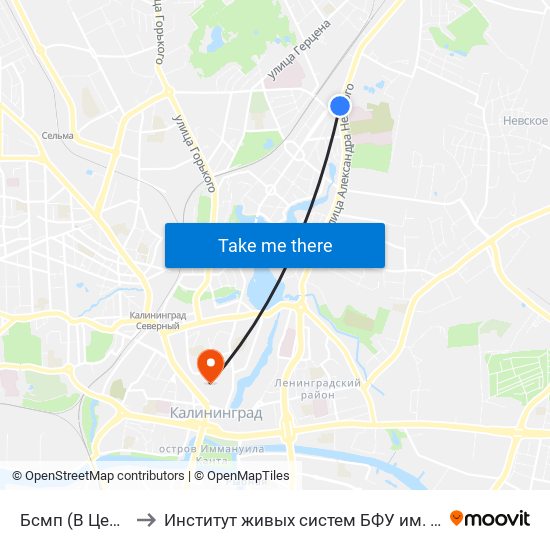 Бсмп (В Центр) to Институт живых систем БФУ им. Канта map