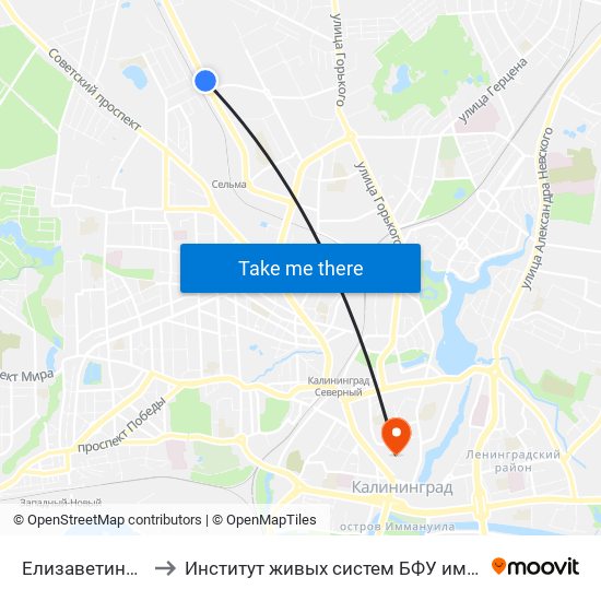 Елизаветинская to Институт живых систем БФУ им. Канта map