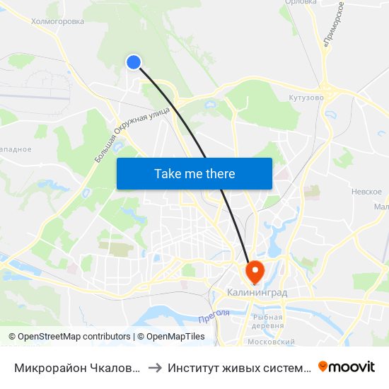 Микрорайон Чкаловск (Конечная) to Институт живых систем БФУ им. Канта map