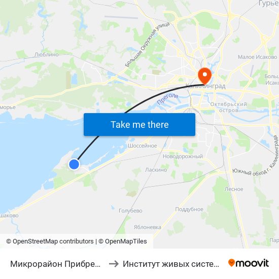 Микрорайон Прибрежный (В Центр) to Институт живых систем БФУ им. Канта map