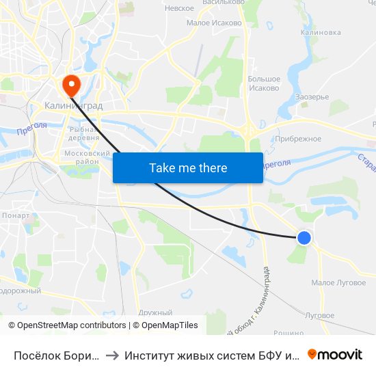 Посёлок Борисово to Институт живых систем БФУ им. Канта map