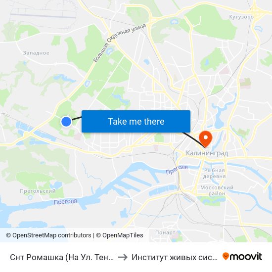 Снт Ромашка (На Ул. Тенистая Аллея, В Центр) to Институт живых систем БФУ им. Канта map