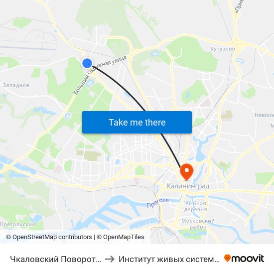 Чкаловский Поворот (Троллейбус) to Институт живых систем БФУ им. Канта map