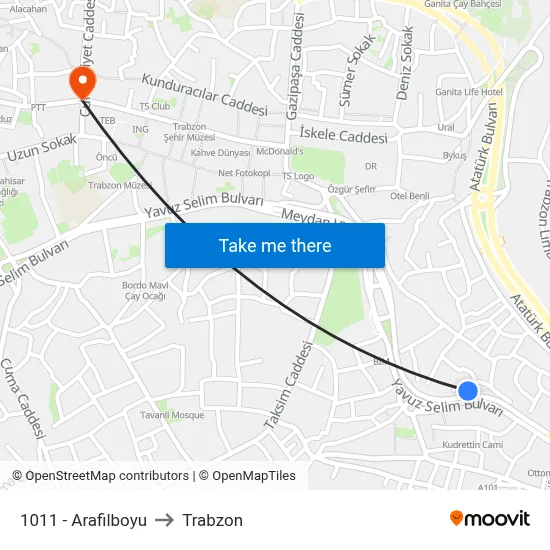1011 - Arafilboyu to Trabzon map