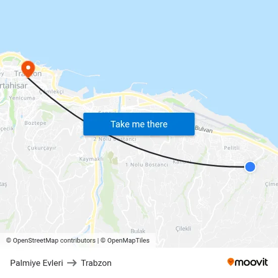 Palmiye Evleri to Trabzon map